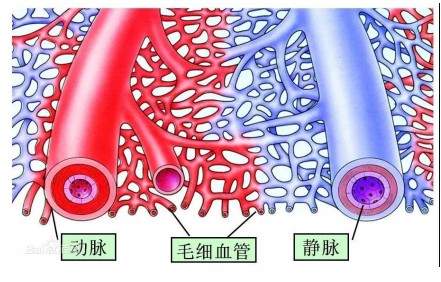 科技引领未来 金字塔能量舱 助力中国健康产业发展