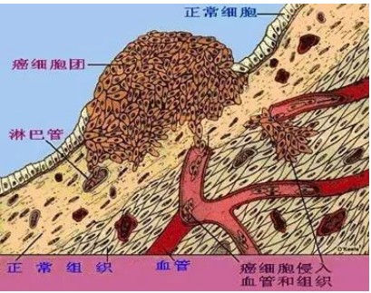 科技引领未来 金字塔能量舱 助力中国健康产业发展