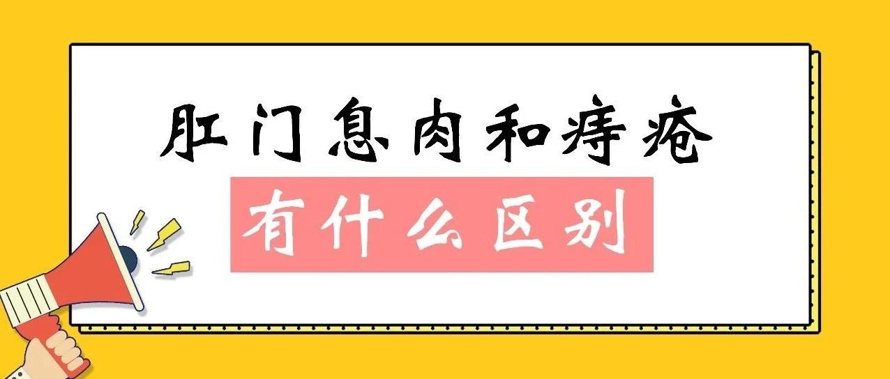 平顶山东大肛肠医院肛门息肉和痔疮有什么区别