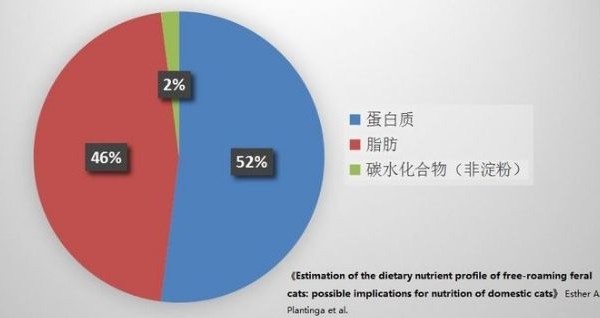 养猫也需“因地制宜”，有鱼猫粮更适合国内宠物猫