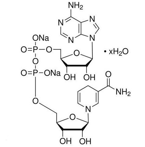 比NMN强4倍？如此增速提效，赛立复NADH到底什么来头？