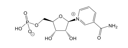 比NMN强4倍？如此增速提效，赛立复NADH到底什么来头？