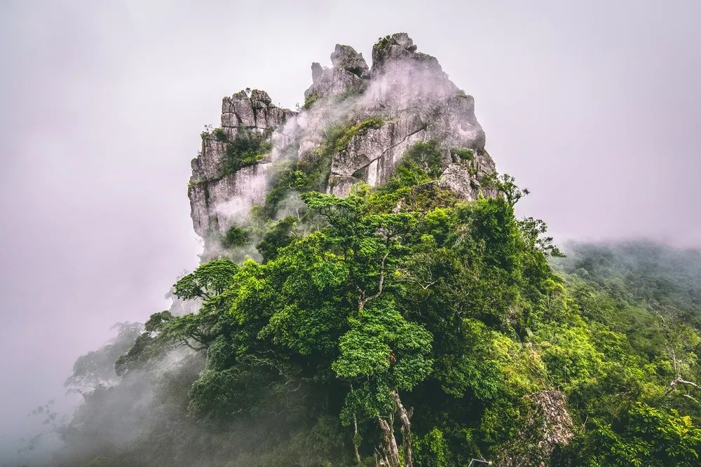 速8酒店丨成仙之地沂郡冠山