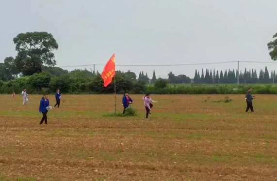 义丰祥芝麻油传承传统纯芝麻油，建设优质芝麻基地