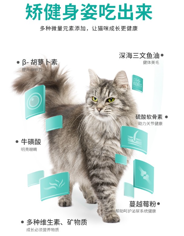 新手猫主人不会选猫粮？凯锐思带来选粮小技巧