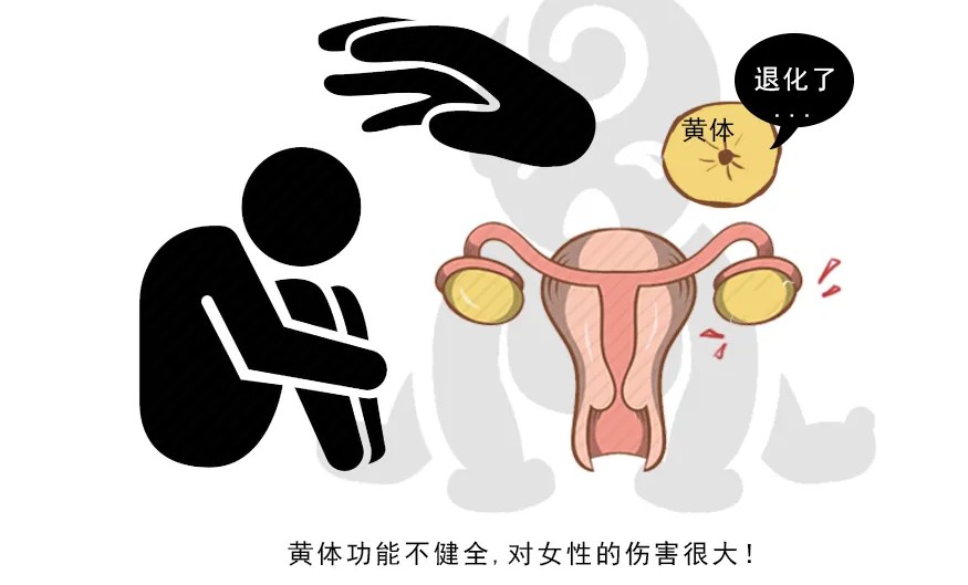 西安生殖保健院徐君辉：怎么知道自己是不是黄体功能不足?