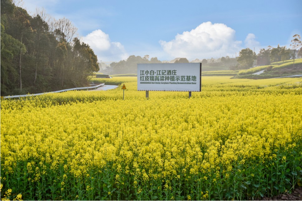 陶石泉：江小白适应市场发展需求，多方位强化品牌整体实力