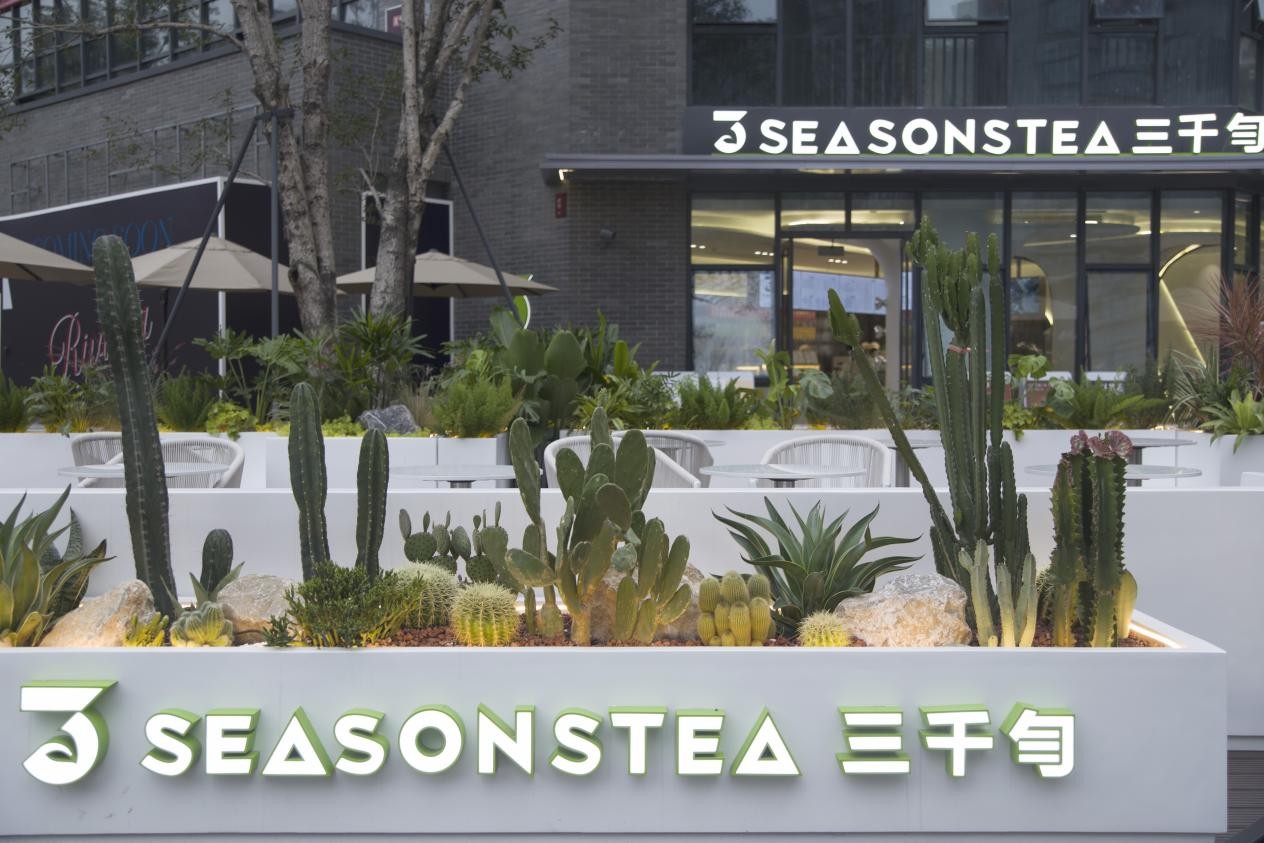 茶饮界的后起之秀，这家店凭什么出圈？—— 三千旬SEASONSTEA 逆流而上