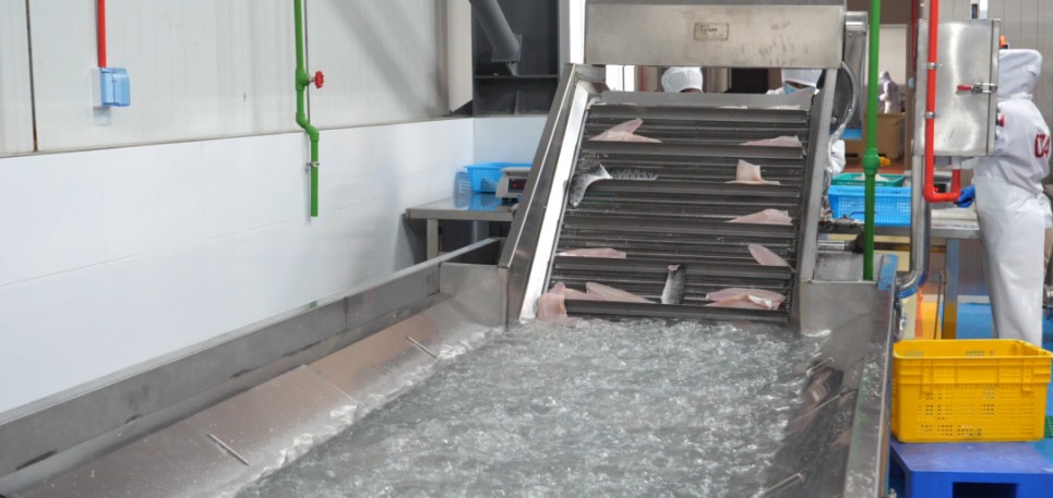 中洋鱼天下第二工厂一期工程投产试运营