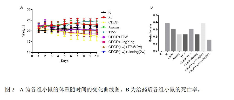 黑色素瘤现代中药实验结果，媲美最新免疫疗法