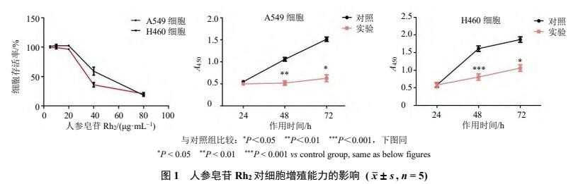 患上非小细胞肺癌，该何去何从？