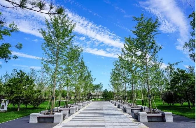 历时千天东方园林为北京精心建造城市公园